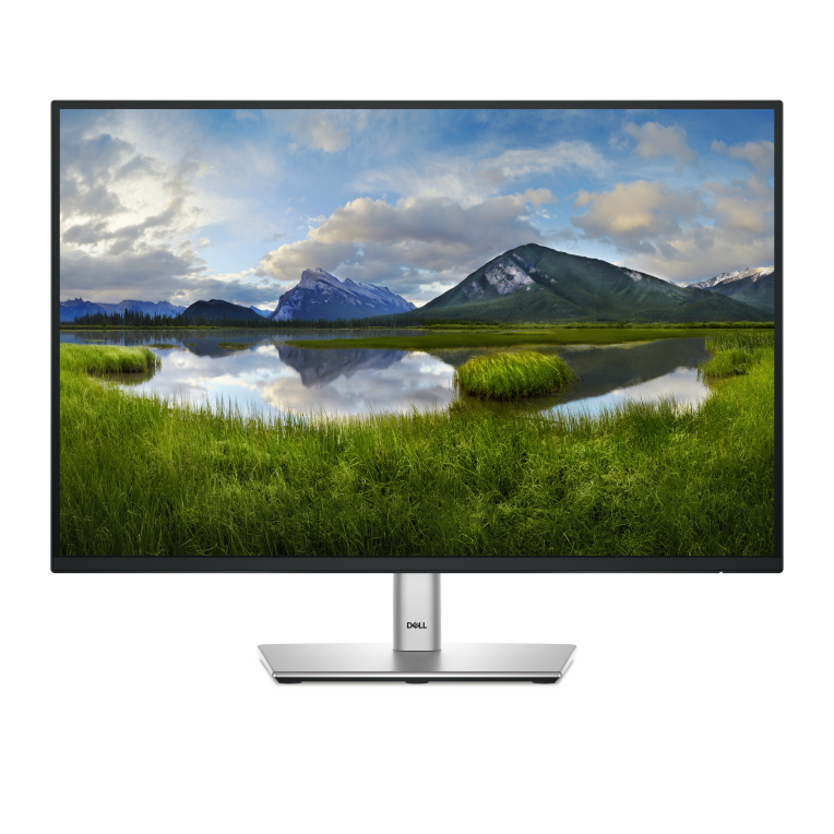 DELL Pro Plus P2425E Ecrã para PC 61,1 cm (24.1") 1920 x 1200 Pixeles WUXGA LCD preto